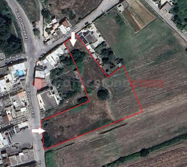 Terreno Residenziale - Specchia . Rif.: Pogg205VCG - Foto 7