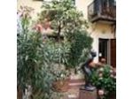 Pigreco S.a.s. di Baldani Andrea & C