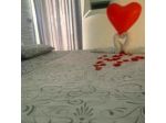 B&B Albysuite
