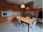 Bifamiliare in affitto a Orgiano