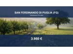 Immobile in asta di 3411 m² in vendita a San Ferdinando di Puglia