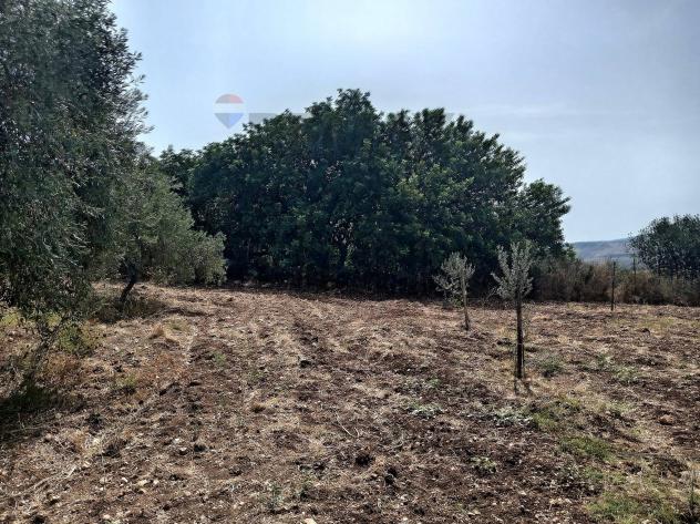 Terreno in vendita a Sortino - Foto 17