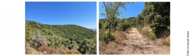 Immobile in asta di 71470 m² in vendita a Bortigiadas - Foto 3