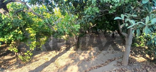 Terreno in vendita a Calatabiano, San Marco - Foto 18