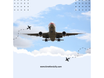 Direct Flight Options Between New York and Palermo