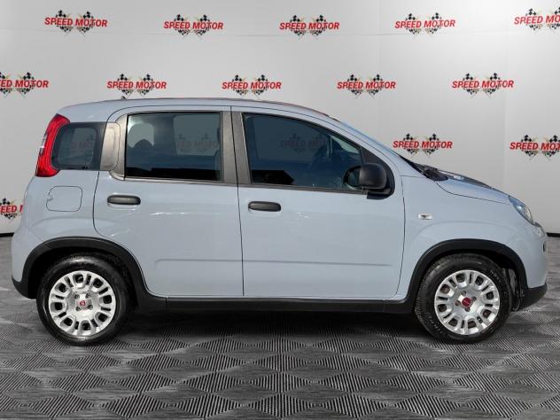 FIAT Panda Panda 1.0 firefly hybrid 70cv, CARPLAY, PRONTA CONSEGNA! - Foto 2