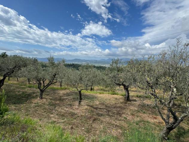 Villa in vendita a Santo Stefano di Magra - Foto 12