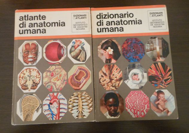 atlante e dizionario di  ANATOMIA UMANA, ISTITUTO GEOGRAFICO DE AGOSTINI NOVARA - Foto 3