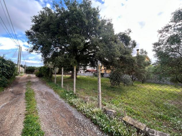 Edificabile in Via Carpineto Romano - Foto 4