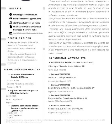 Cerco occupazione