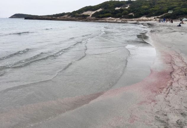 Villa AngiGian a 300mt dal mare di Porto Pineto - Foto 2