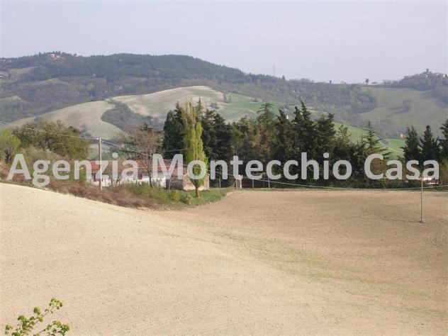Terreno agricolo, bosco e capanno - Foto 3