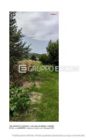 Terreno in vendita a Tursi - Rif. 4557953