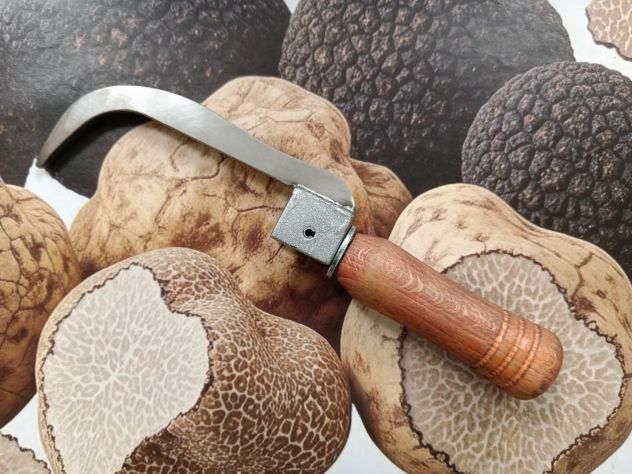 Zappino professionale per tartufi – Artigianale, robusto e preciso - Foto 3