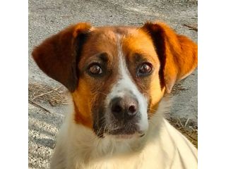 ALMA