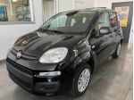 FIAT Panda 3ª serie Panda 1.0 FireFly S&S Hybrid Icon