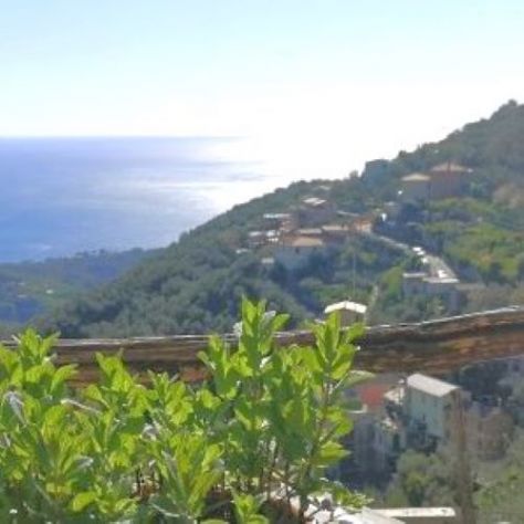 Rif. 8227 – Cogorno – Sulla prima collina di Lavagna – Terreno con Progetto Appr - Foto 10