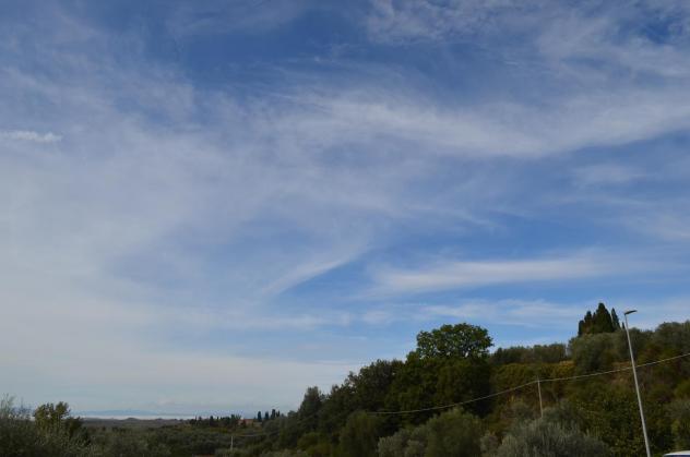 Villa in vendita a Montalcino - Foto 11
