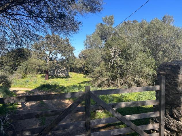 Casale in vendita a Luogosanto 78 mq Rif: 1383998 - Foto 7