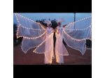 TRAMPOLIERI FARFALLE LUMINOSE