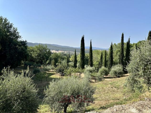Terreno edificabile in vendita a Casale Marittimo