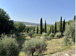 Terreno edificabile in vendita a Casale Marittimo