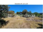 Terreno di 1500 mq  in vendita a Condofuri - Rif. 4545505