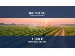 Immobile in asta di 700 m² in vendita a Isernia