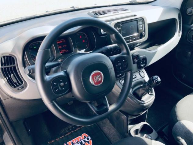FIAT Panda 1.0 FireFly S&S Hybrid City Life rif. 23878042 - Foto 10