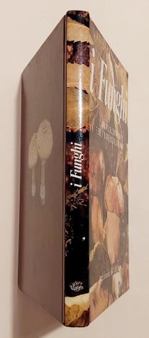 I funghi. Il manuale del cercafunghi di Fernando Rais Editoriale Drago, 1985 - Foto 2