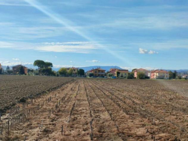 Immobile in asta di 2500 m² in vendita a Cartoceto - Foto 4