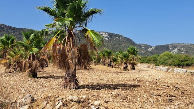 Terreno in vendita a Priolo Gargallo - Foto 10
