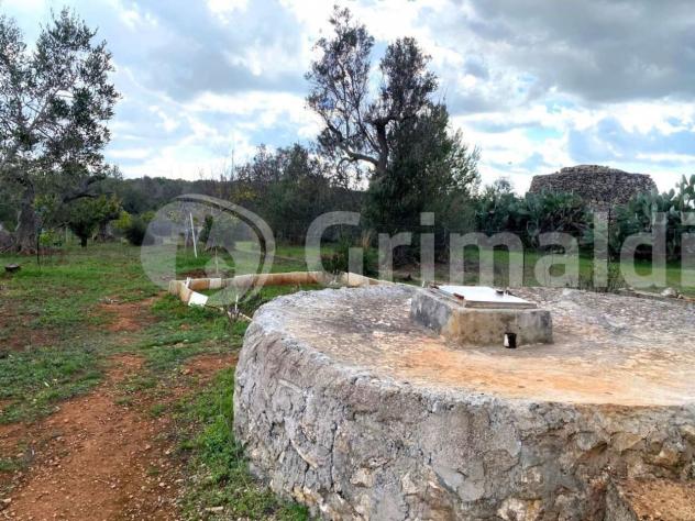 Terreno edificabile in vendita a Sannicola - Foto 18
