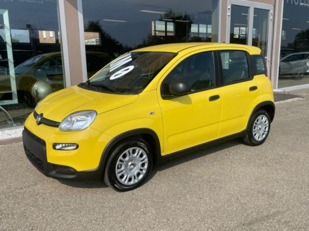 FIAT Panda 1.0 FireFly S&S Hybrid Pandina rif. 23992882 - Foto 3