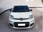 FIAT Pandina Panda My25 1.0 70cv Hybrid Panda