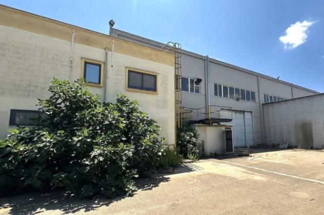 Immobile in asta di 982 m² in vendita a Torricella - Foto 17