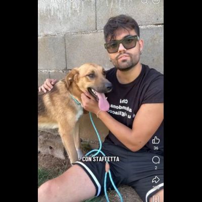 MOCKY CERCA UN AMICO AMOREVOLE CUCCIOLO IN ADOZIONE - Foto 9
