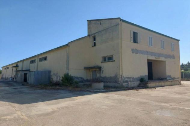 Immobile in asta di 1508 m² in vendita a Sanluri - Foto 4
