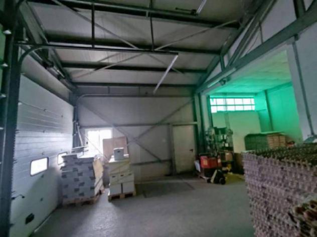 Immobile in asta di 1684 m² in vendita a Verghereto - Foto 15