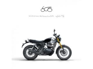 ROYAL ENFIELD BEAR 650 rif. 23114103