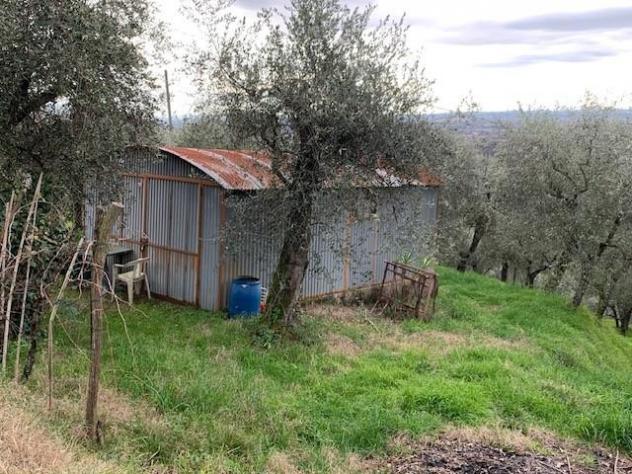 Terreno agricolo in vendita a Colle - Buggiano 5500 mq Rif: 1311347 - Foto 9