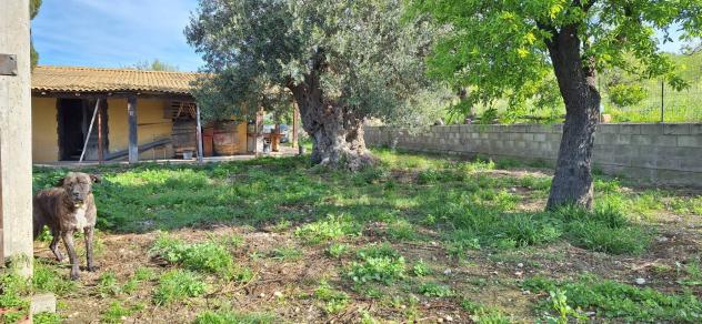 Terreno in vendita a Noto - Foto 8