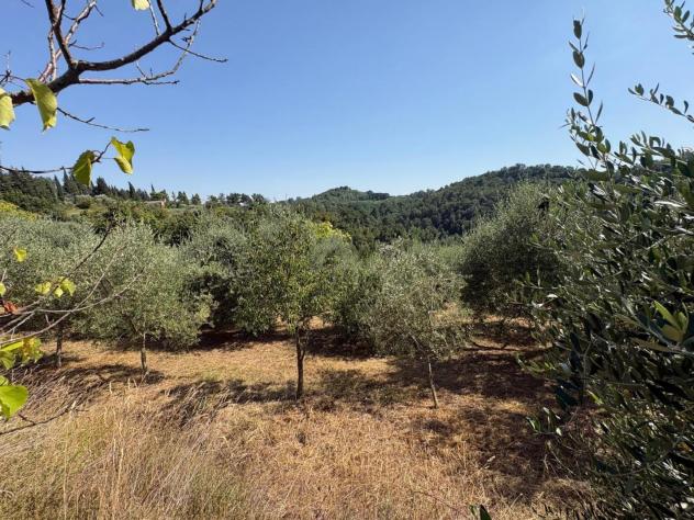 Terreno agricolo in vendita a Montecastello - Pontedera 5110 mq Rif: 1425459 - Foto 6