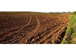 Terreno agricolo in vendita a San Donato - Santa Maria a Monte 6500 mq  Rif &hellip;