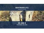 Immobile in asta di 707 m² in vendita a Bertinoro