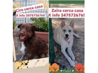 Zara/Ciro 3anni belli,buoni MA INVISIBILI!! SICILIA SOS