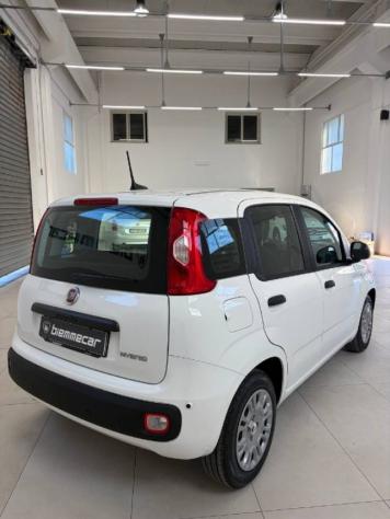 FIAT Panda 1.0 FireFly S&S Hybrid Pandina rif. 23914254 - Foto 3