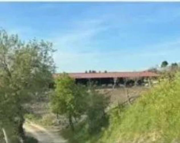 Immobile in asta di 825 m² in vendita a Moscufo - Foto 5