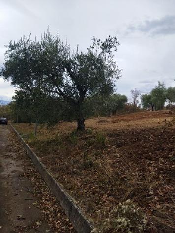 Terreno edificabile in vendita a Filetto - Foto 5