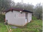 Terreno agricolo con ricovero attrezzi